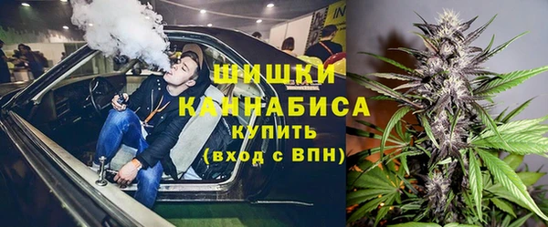 ПСИЛОЦИБИНОВЫЕ ГРИБЫ Балабаново