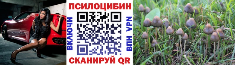 Псилоцибиновые грибы Psilocybine cubensis Никольское